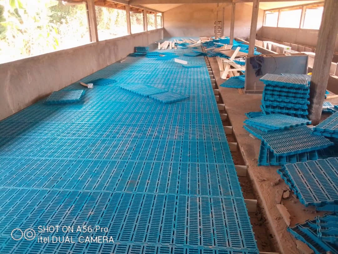 Automated feeding system